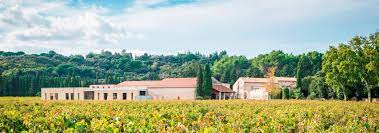 August Rosé of the Month Club