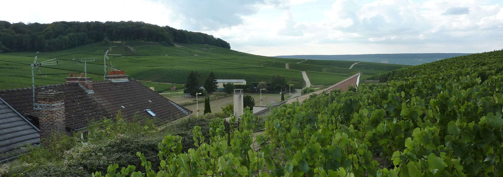 October '22 Champagne Club