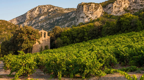 Wine of the Month September 2024: All Around France