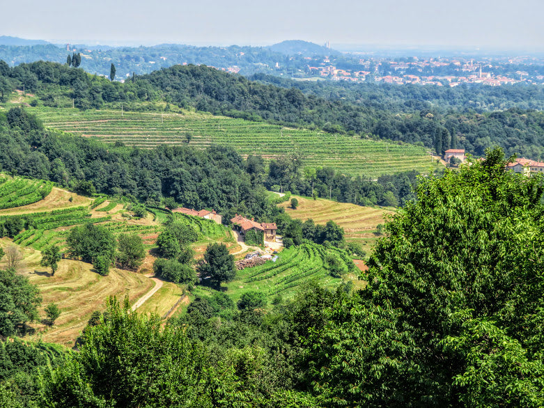 May Italian Wine Club