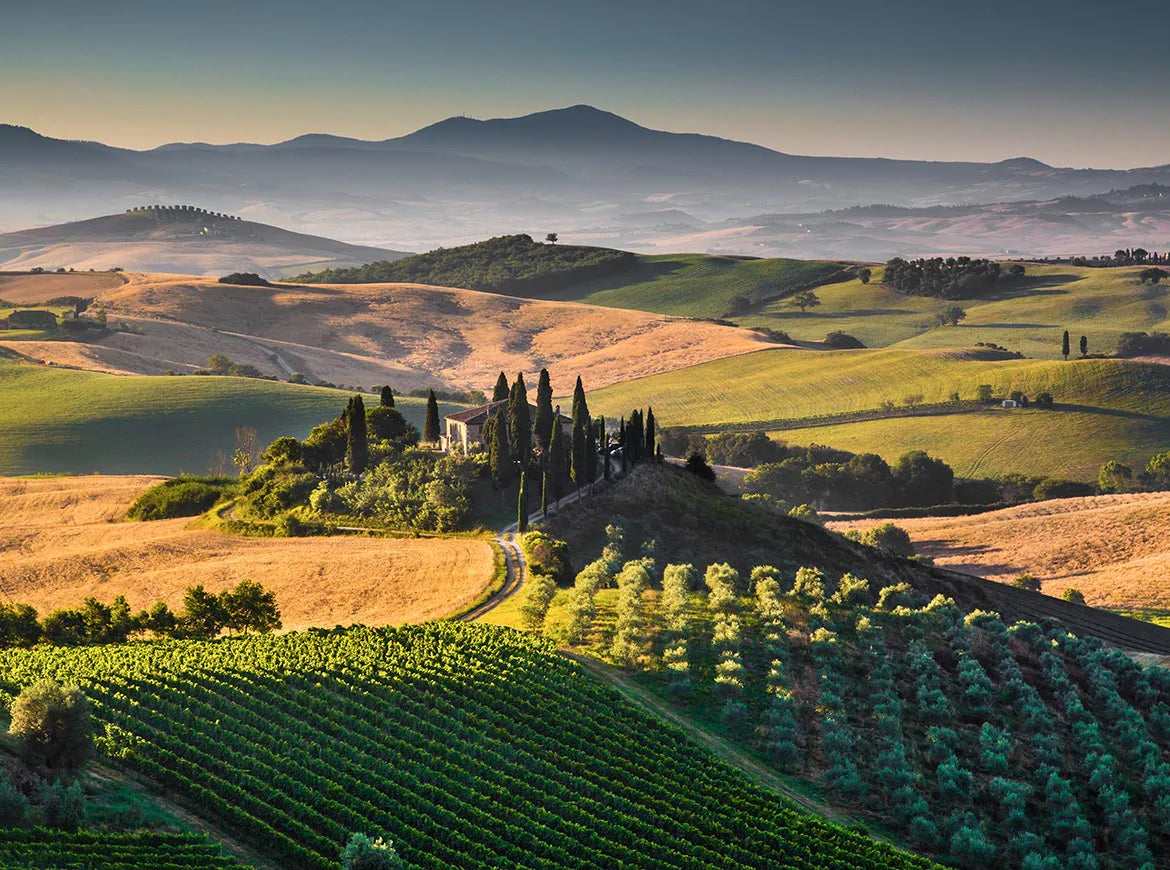 February 2023 Italian Wine Club - Tuscany