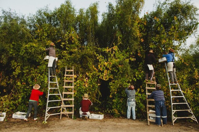 March 2022 Wine of the Month Club