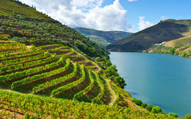 Wine of the Month Club April 2023: Portugal