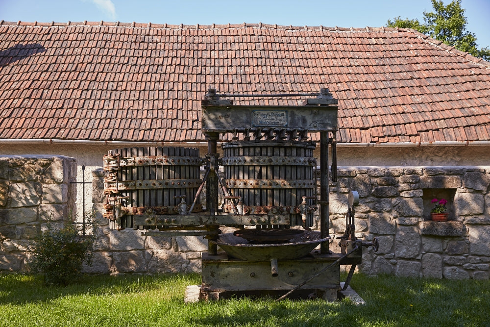 January 2023 Wine of the Month Club