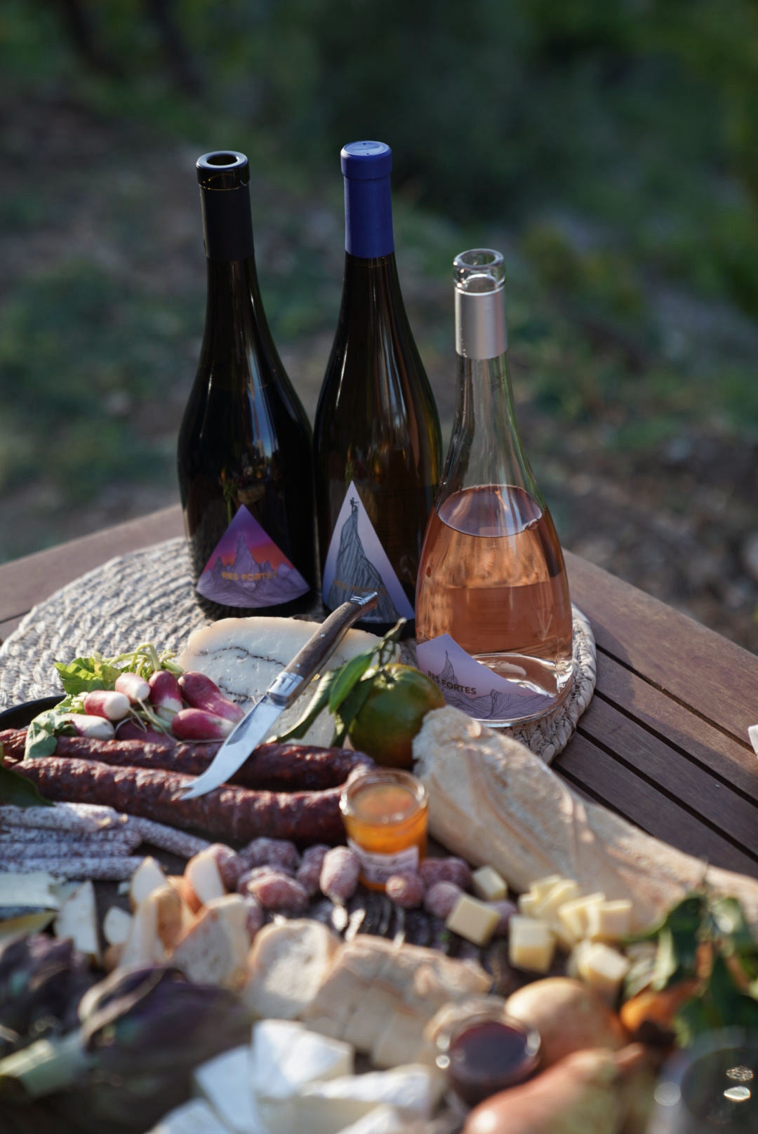 December 2022 Wine of the Month