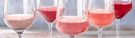 Septmeber 2025 Rosé Club