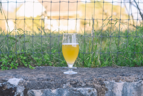 Beer of the Month Club August 2024: Saison