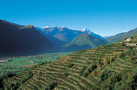 August Italian Wine Club: Lombardia