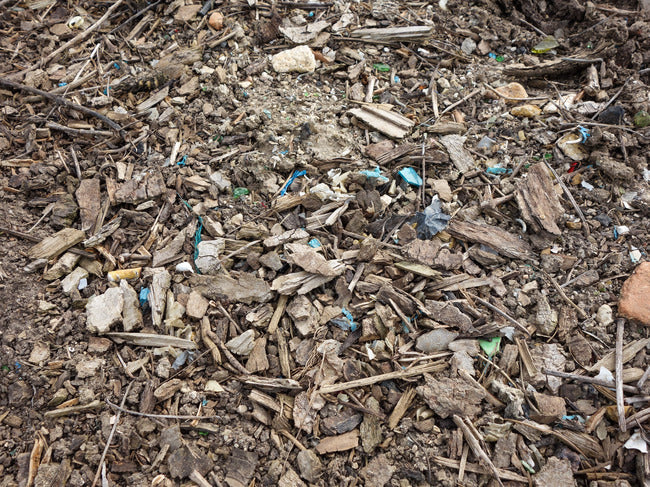 October '23 Champagne Club: Bergere & Laborde