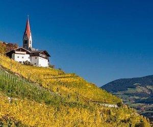 June 2021 Italian Wine Club: Trentino-Alto Adige
