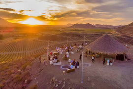 February 2026 Wine of the Month: Mexico