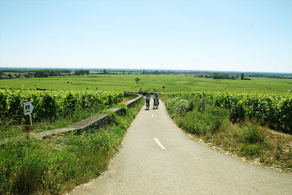 Tour de France: Burgundy Edition