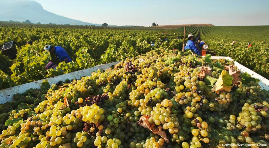 Italian Wine Club: March 2019